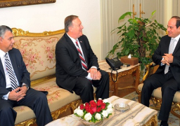 السيسي: العلاقات المصرية الأمريكية ممتدة ومتشعبة واستراتيجية