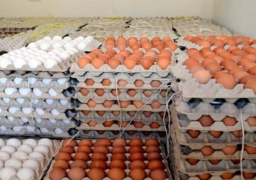 ​​الزراعة تؤكد أن تعدد الوسطاء وراء ارتفاع أسعار البيض
