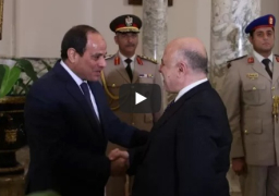 بالفيديو.. السيسى لرئيس وزراء العراق: ندعم بغداد فى حربها ضد الارهاب