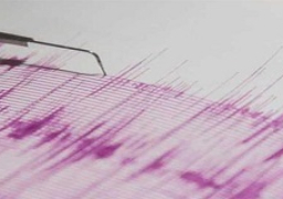 ارتفاع حصيلة مصابي زلزال اليابان لـ350 شخصا