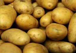 روسيا ترفع الحظر على تصدير البطاطس المصرية