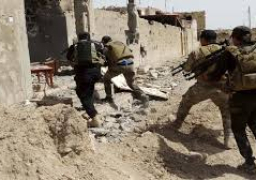 مقتل 14 عنصرا من داعش في  محافظة كركوك العراقية