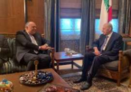شكري يلتقي رئيس مجلس النواب اللبناني ويشيد بقوة العلاقات الثنائية