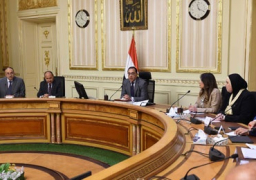 رئيس الوزراء: استدامة معدلات التنمية التى تحققها مصر حالياً يتطلب تعميق الصناعة المحلية