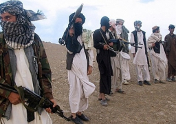 مقتل وإصابة 22 من مسلحي طالبان في عمليات أمنية وسط أفغانستان