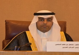 “السلمي” يرفض التدخلات الإقليمية في الشؤون الداخلية للدول العربية