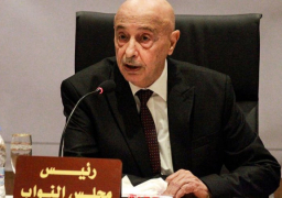 عقيلة صالح يدعو المجتمع الدولي لاحترام إرادة الليبيين لتسوية الأزمة