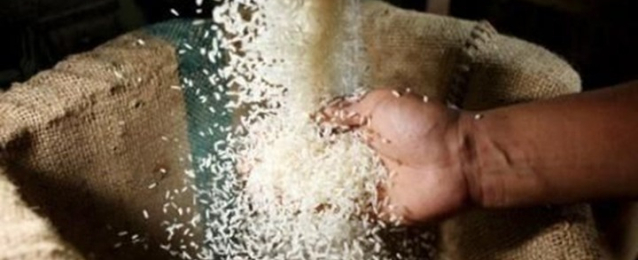 مصدرو الأرز : موافقة الحكومة على تصدير مليون طن يصب في صالح مصر والفلاح