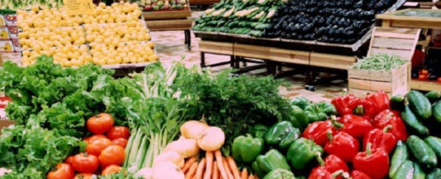 “الزراعة”: 10 آلاف طن إجمالي صادرات الخضر والفاكهة في يوم واحد