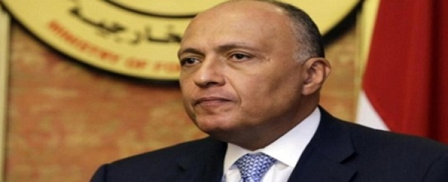 وزير الخارجية: مصر تدين توغل القوات العسكرية التركية داخل الأراضي العراقية
