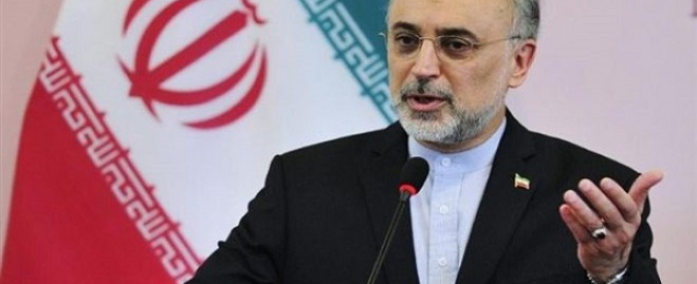 وزير الخارجية الإيراني: لم يتم التوافق على تفاصيل وقف إطلاق النار بسوريا