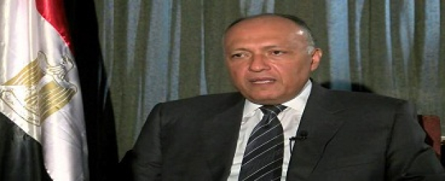 وزير الخارجية: مصر لن تدخر جهدا فى سبيل تقريب الرؤى بين الأشقاء السوريين
