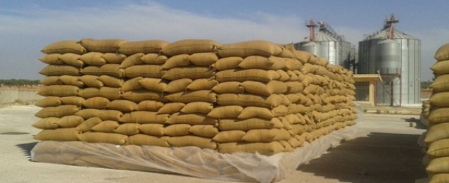 روسيا تورّد مليون طن من القمح إلى سوريا