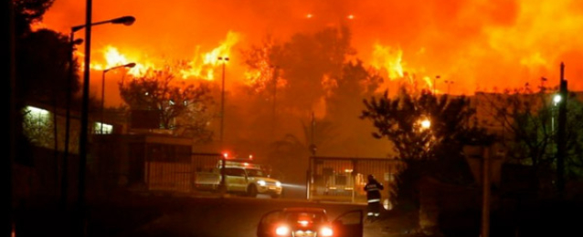 ارتفاع ضحايا حرائق الغابات بالبرتغال لـ43 قتيلًا