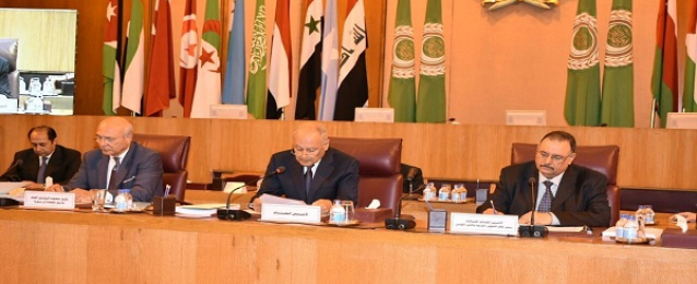 أبو الغيط يؤكد على ثوابت موقف الجامعة العربية من الأزمة السورية
