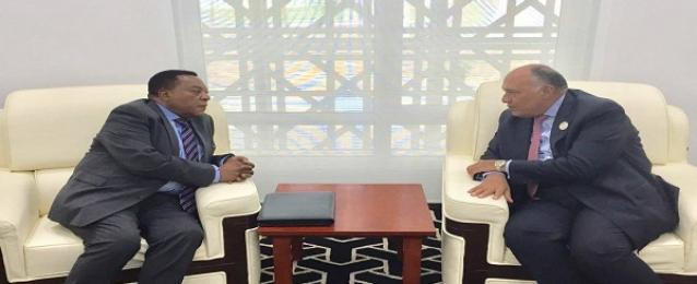 وزير الخارجية يبحث العلاقات الثنائية مع نظيره التنزانى