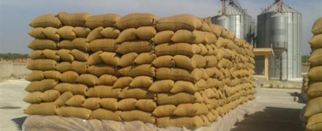 إنشاء محطة غلال بطاقة 100 ألف طن لزيادة مخزون القمح