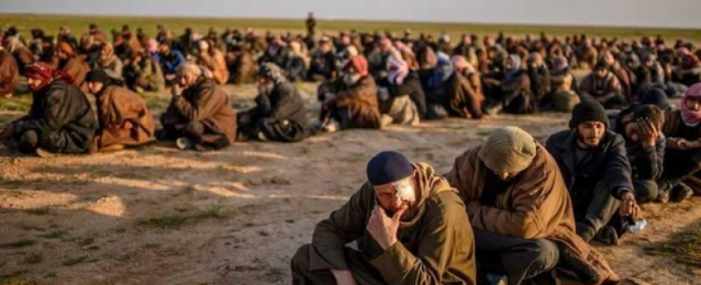 “قسر”: العشرات من تنظيم “داعش” يسلمون أنفسهم في الباغوز
