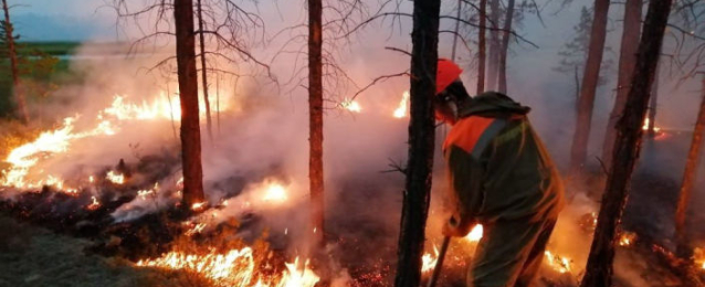 حرائق الغابات تجبر مئات السكان على إخلاء منازلهم بأستراليا