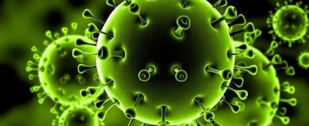 أكثر من 650 ألف وفاة بفيروس كورونا المستجد في العالم