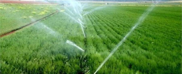 الحكومة :لا صحة للامتناع عن توفير حصص مياه الري اللازمة للزراعات