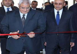 بدوى: الرئيس حرص على افتتاح المدينة الشبابية إيمانا بأهمية دور الشباب