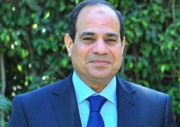 حملة شعب مصر تشكل مكتبها التنفيذي لإدارة مؤتمرات دعم السيسي