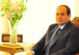 السيسى يوجه بدعم مزراعي القطن وشراء الأرز من الفلاحين