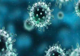 الصحة السعودية تعين مجلسا استشاريا لاحتواء فيروس كورونا