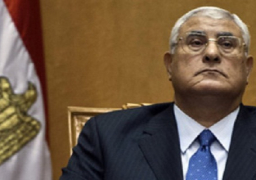 منصور: لابيع لقطاع الأعمال العام بثمن بخس ودون رؤية واضحة