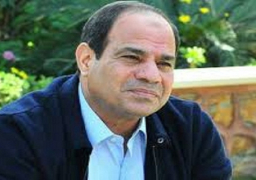 السيسي : سأقف إلي جانب الصحف القومية والتليفزيون حال فوزي بالرئاسة