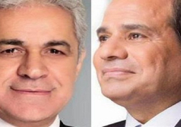 السيسي يتقدم على منافسة صباحي فى لندن ولشبونة