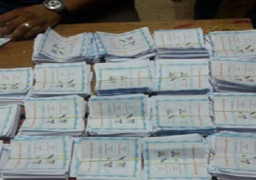 الشرقية.. 180 ألف صوت للسيسي و 3905 لصباحي في منيا القمح