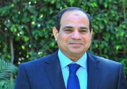 السيسى يبحث مستقبل قطاع الصناعة خلال لقائه بممثلى اتحاد الصناعات