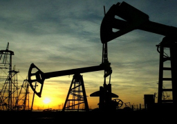 تقرير: 79 مليون طن إنتاج الثروة البترولية خلال عام 2012/2013