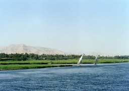 مصر: نؤيد حق دول حوض النيل في تحقيق التنمية دون ضرر ولا ضرار