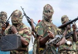 دبلوماسي أمريكي ينفي وجود فتيات نيجيريا المختطفات بالكاميرون