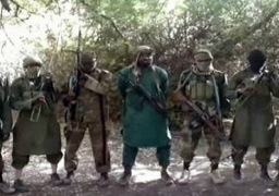 دول غرب أفريقيا تحشد للقضاء على بوكوحرام