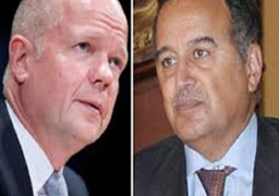 هيج: محادثاتي مع فهمي تتناول الإنتقال الديمقراطي في مصر