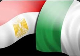 سفير مصر : نيجيريا تلعب دورا هاما لعودة مصر للاتحاد الافريقي