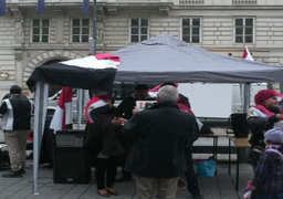 مصريون في النمسا يتظاهرون أمام السفارة دعما للاستقرار