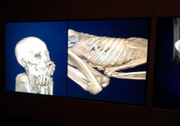 المتحف البريطاني: معرض المومياوات ساعدنا في التقرب من المصرريين القدماء