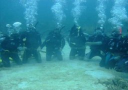 انطلاق مهرجان الغردقة للغوص وحماية البيئة “السبت”