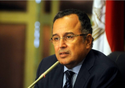 فهمي: على واشنطن عدم التواصل مع “الإخوان” بعد اعلانها “إرهابية”