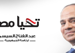 نتائج الفرز الأولية ترجح كفة السيسي فى نواكشوط وعمان والرياض