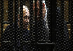 تأجيل إعادة محاكمة العادلي ونظيف في اللوحات المعدنية لجلسة 25 يونيو