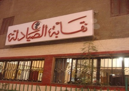 غدًا.. نقابة الصيادلة تتقدم باستشكال على حكم فرض الحراسة