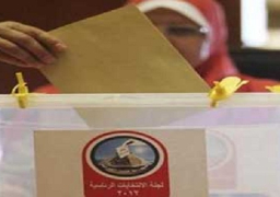 وصول 3 مراقبين لمتابعة الانتخابات الرئاسية