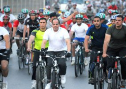 السيسي: مصر تحتاج إلى توحيد جهودها والعمل على نبذ الخلاف