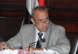 طرح 10 آلاف فدان برابعة وبئر العبد في سيناء للبيع